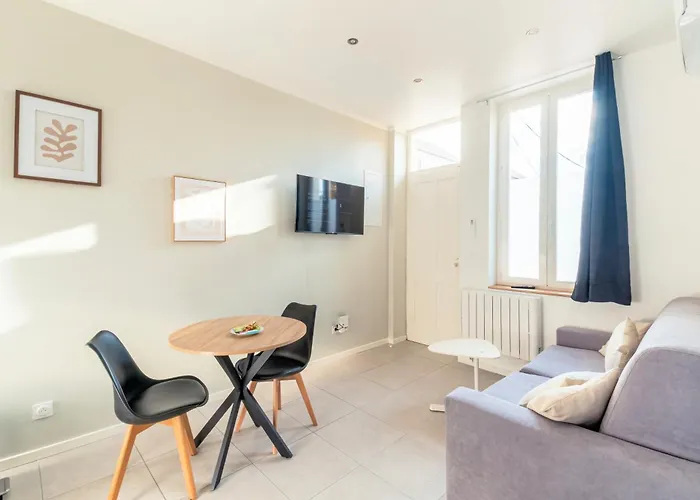 Appartement T2 Moderne Cosy Et Climatise A Proximite Du Centre Ville De Lyon
