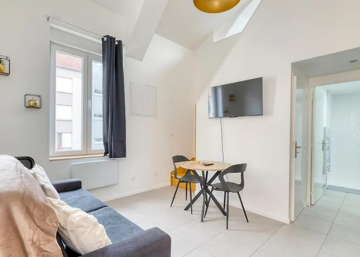 Appartement T2 Moderne Cosy Et Climatise A Proximite Du Centre Ville De Lyon