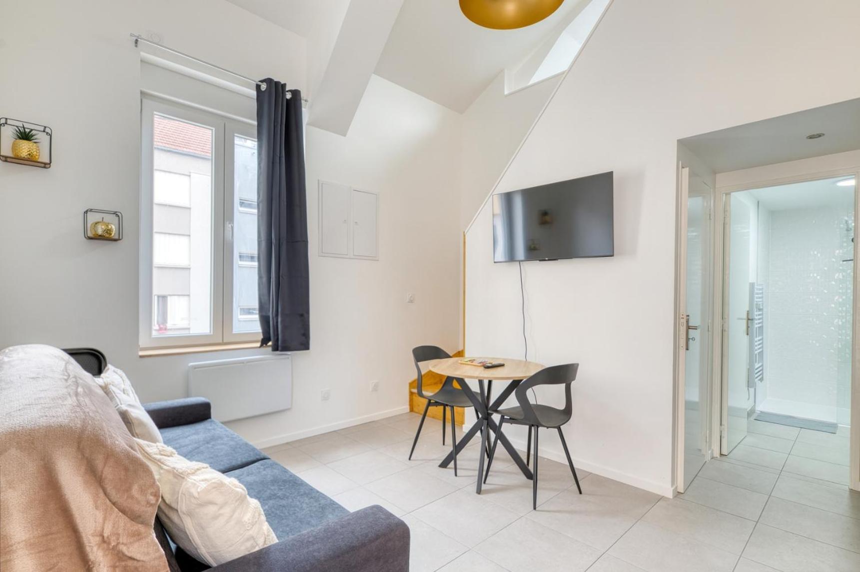 T2 Moderne Cosy Et Climatise A Proximite Du Centre De Lyon Appartement *